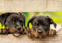 《바이바이의 의미》 — 일상의 작은 변화에서 배우는 성장