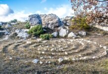 허무 속에서 희망을 찾는다는 것 – 다자이와 카뮈를 좋아하는 이유