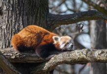 게으름이라는 이름 아래 숨은 두 개의 세계 — 성경과 헤르만 헤세가 말하는 인간의 태도