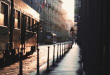 문화는 소비재가 아니라 문명 자체의 토대입니다 — K-문화 열풍과 에드먼드 버크의 문화관